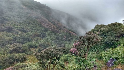 Agasthyakoodam