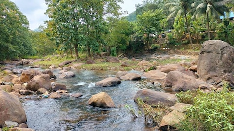 Kallar