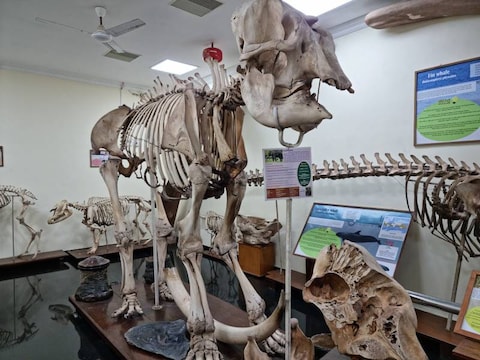 Natural History Museum Thiruvananthapuram