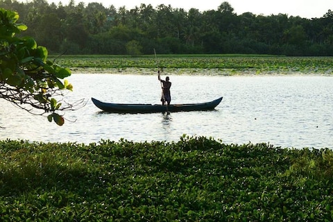 Vellayani Lake