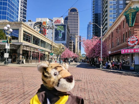 Pike Place Market