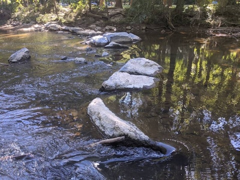 Rock Creek