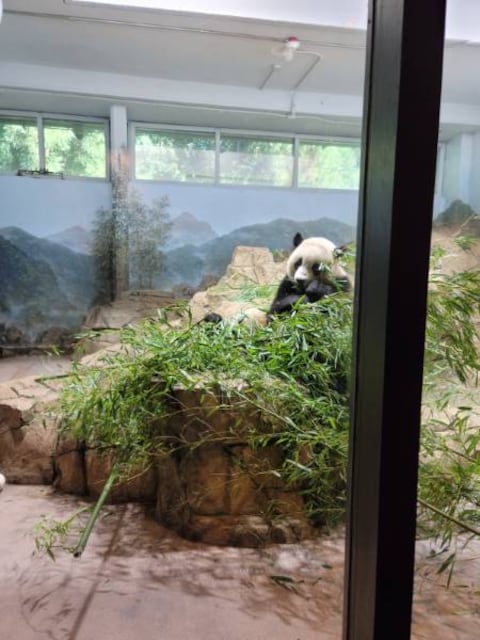 Woodland Park Zoo