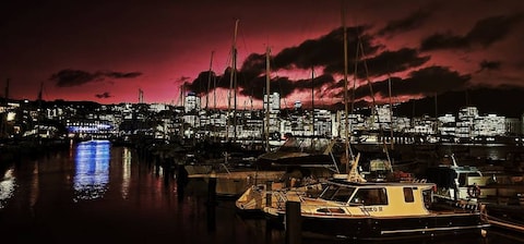 Oriental Bay