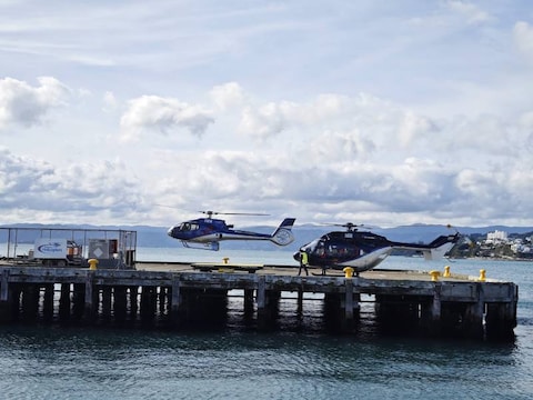Wellington Harbour