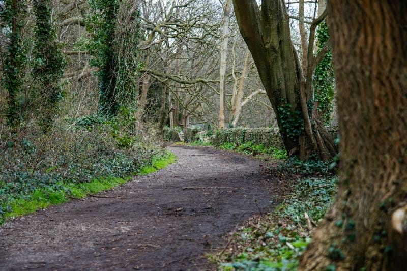 Bristol_St_Annes_Woods_1