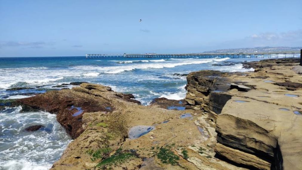 San_Diego_Bloomer_Beach_2