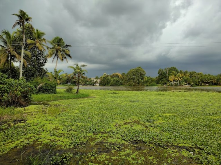 Kuttunad_Kerala_3