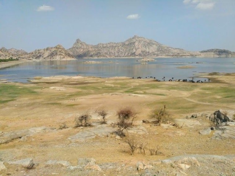 jawai_3
