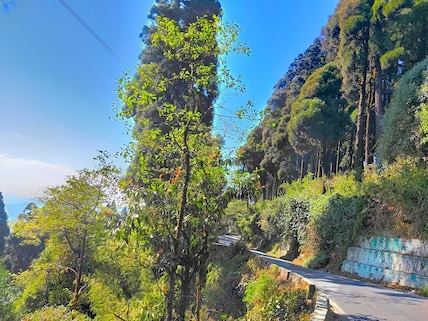 Lepchajagat, West Bengal