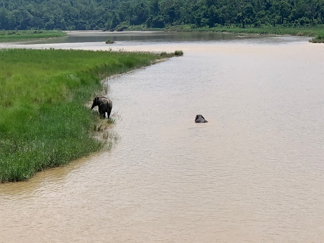 Bardiya_National_Park_Nepal_3