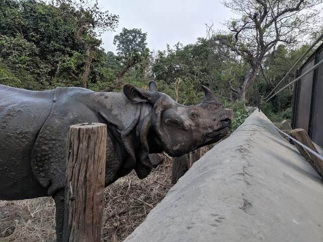 Bardiya_National_Park_Nepal_5
