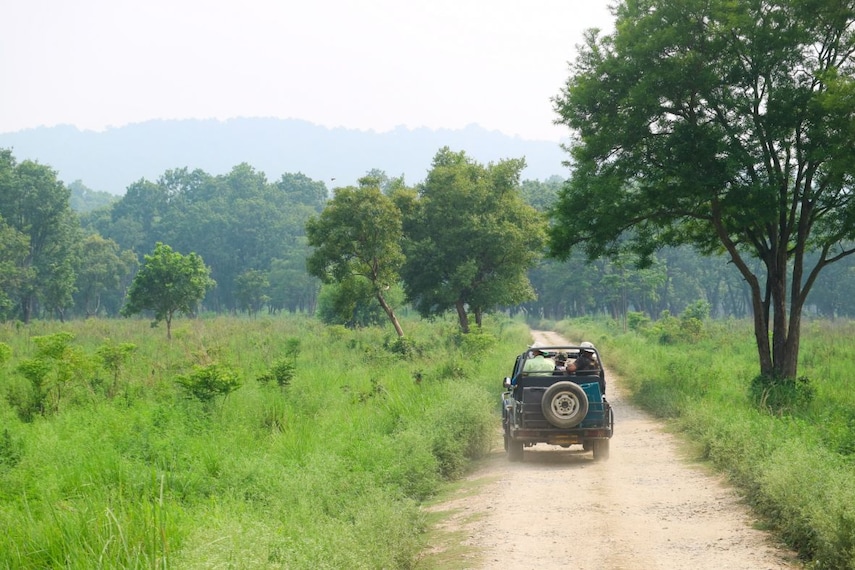 Jim_Corbett_National_Park_2