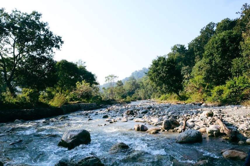 Jim_Corbett_National_Park_4