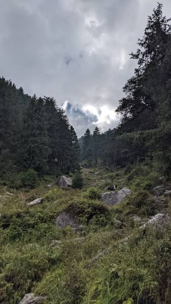 Bir_Billing_Trekking_to_Hanuman_Garh_5