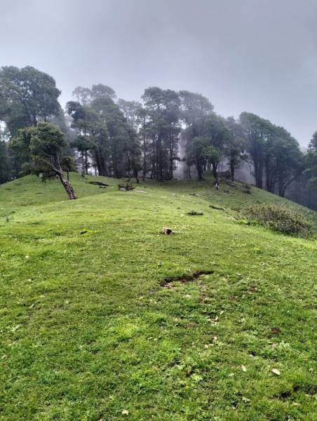 Bir_Billing_Trekking_to_Hanuman_Garh_7