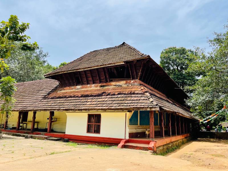 Guruvayoor_Punnathurkotta_Elephant_Palace_6