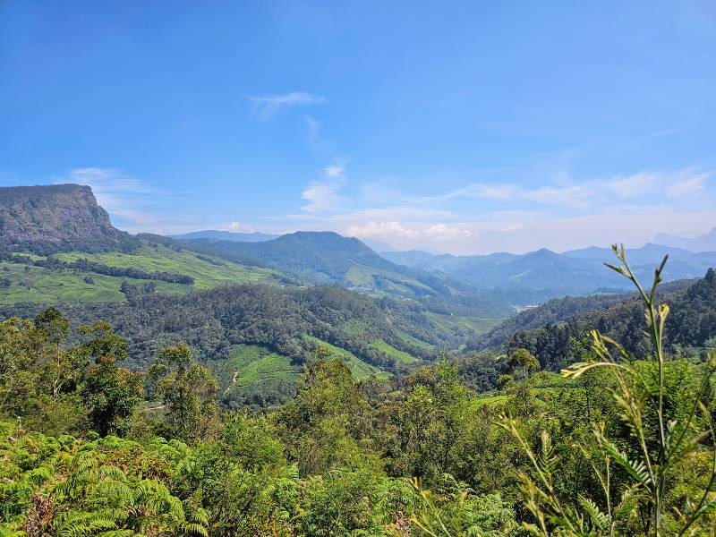 Idukki_Anamudi_Shola_National_Park_2