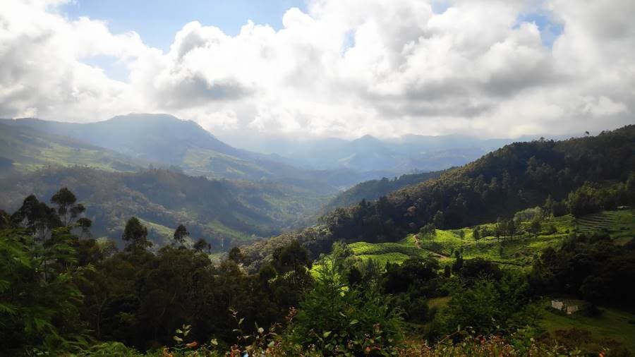 Idukki_Anamudi_Shola_National_Park_4