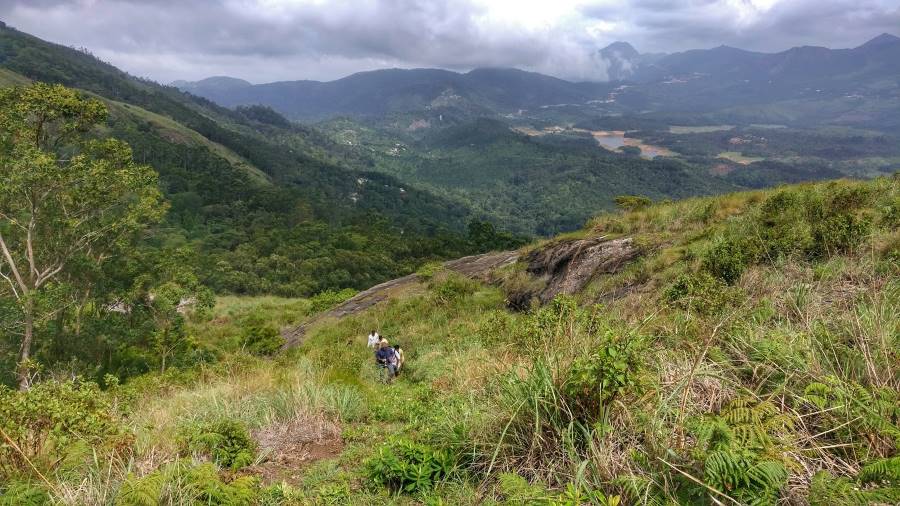 Idukki_Mathikettan_Shola_National_Park_3