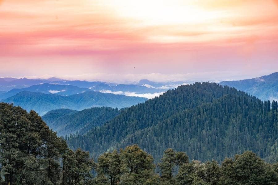 Jibhi_Jalori_Pass_1