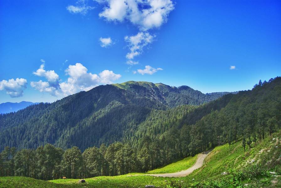 Jibhi_Jalori_Pass_2