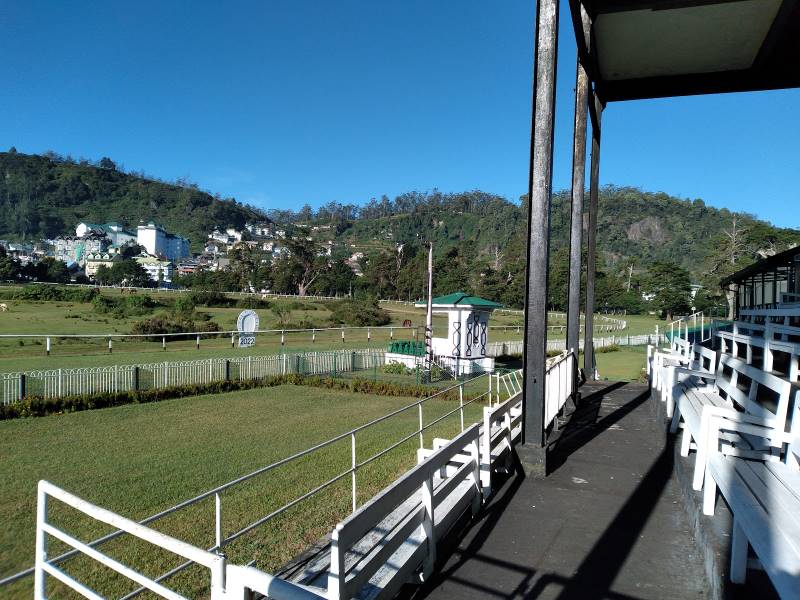 Nuwara_Eliya_Horse_Riding_in_Nuwara_Eliya_3