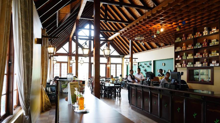 Nuwara_Eliya_Tea_Tasting_at_Mackwoods_Labookellie_Tea_Centre_6