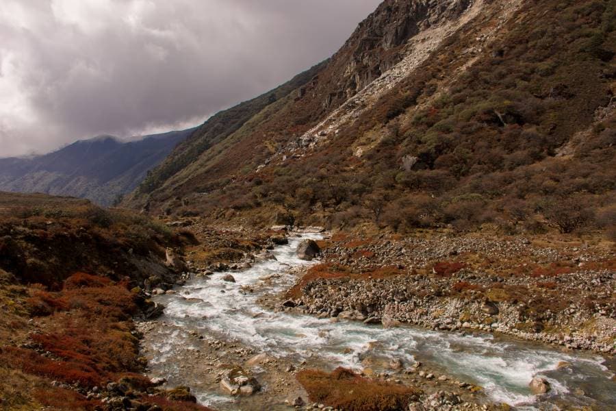 Pelling_Trek_to_Dzongri_and_Goecha_La_8