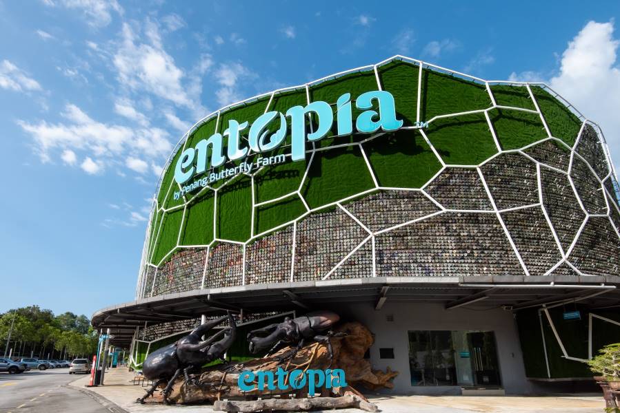 Penang_Entopia_-_Penang_Butterfly_Farm_1