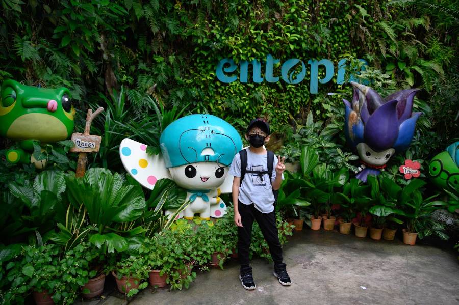Penang_Entopia_-_Penang_Butterfly_Farm_9