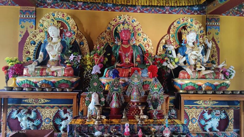 Bir_Billing_Chokling_Monastery_8