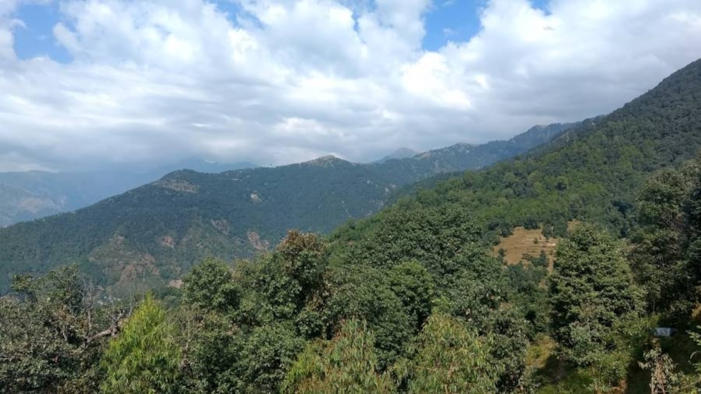 Bir_Billing_Dharmalaya_Institute_7