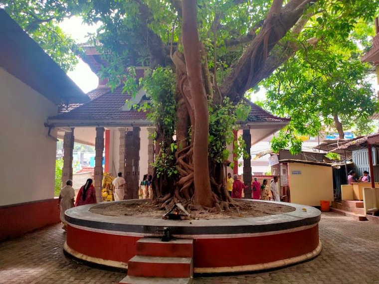 Guruvayoor_Mammiyoor_Temple_2