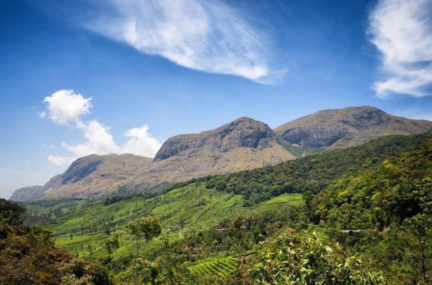 Idukki_Anai_Mudi_Peak_4
