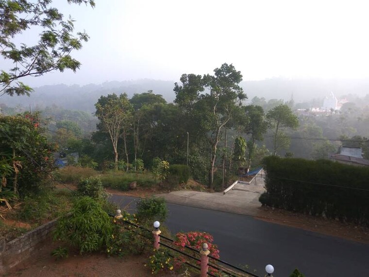 Idukki_Bluemount_Homestay_5