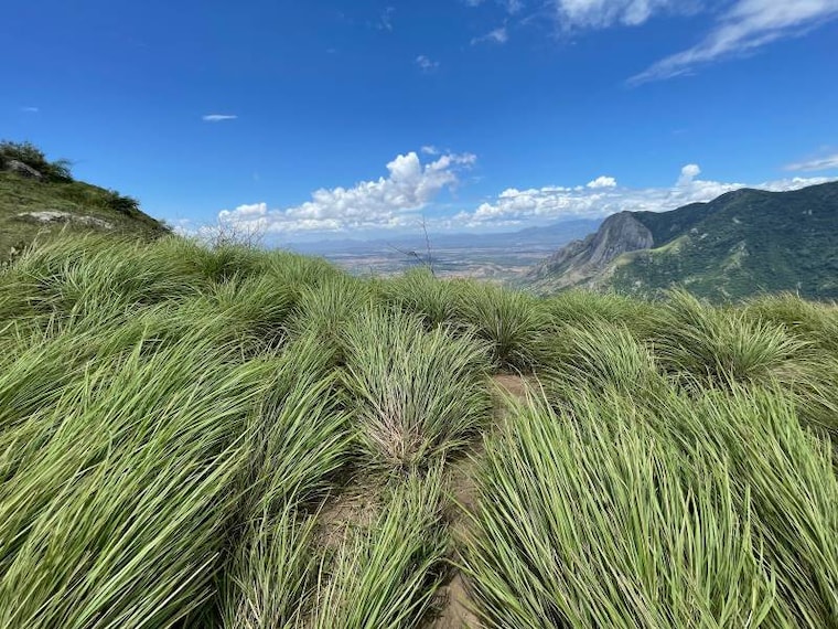 Idukki_Chathurangapara_Viewpoint_10