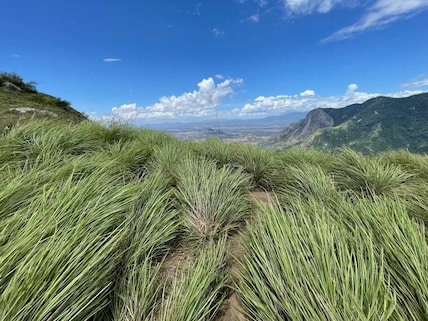 Chathurangapara Viewpoint