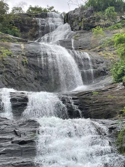 Idukki_Cheeyarappa_Falls_1