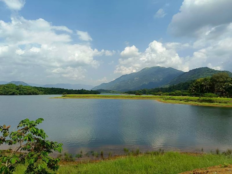Idukki_Malankara_Dam_2
