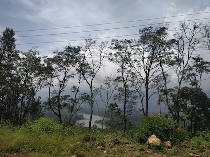 Mathikettan Shola National Park
