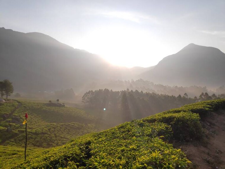 Idukki_Meesapulimala_Peak_8