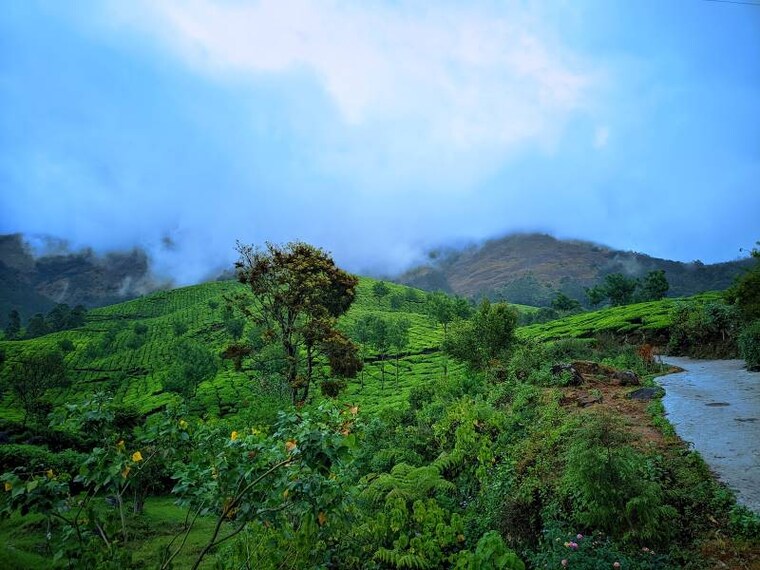 Idukki_Suryanelli_7