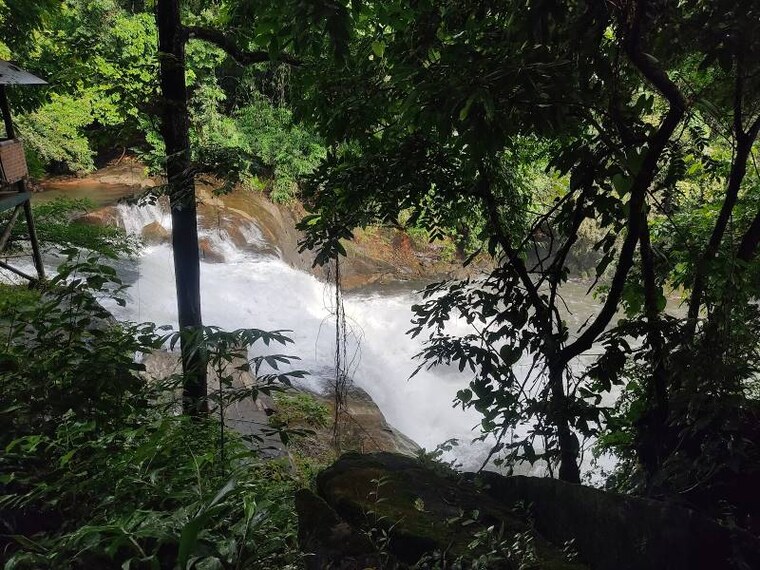 Idukki_Thommankuthu_Falls_10