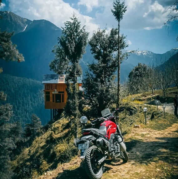Jibhi_Cafe_Jungle_Valley_6