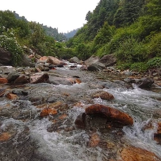 Camping by the Tirthan River
