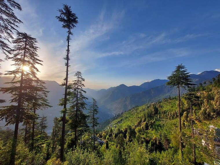 Jibhi_Chehni_Kothi_9