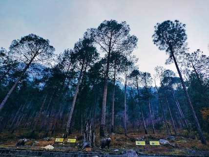 Great Himalayan National Park