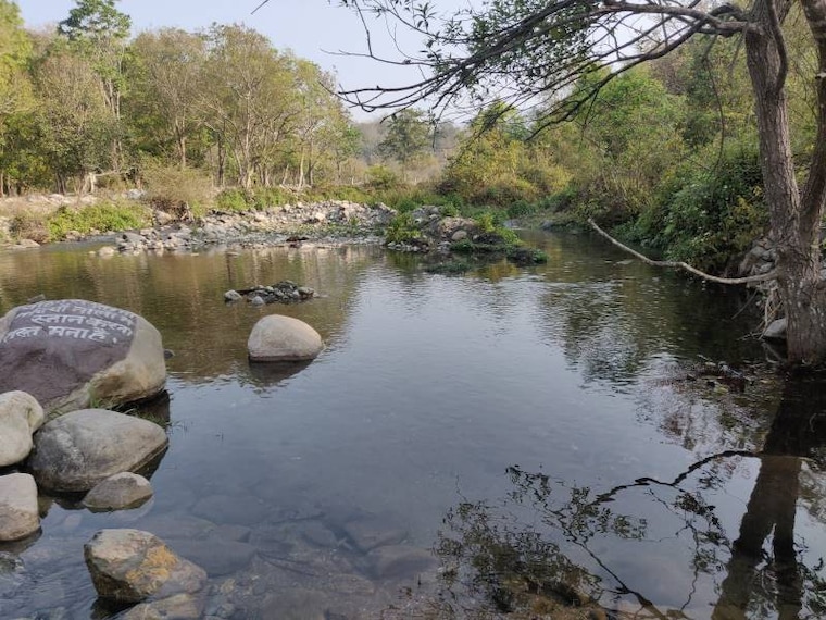 Jim_Corbett_Jeep_Safari_10