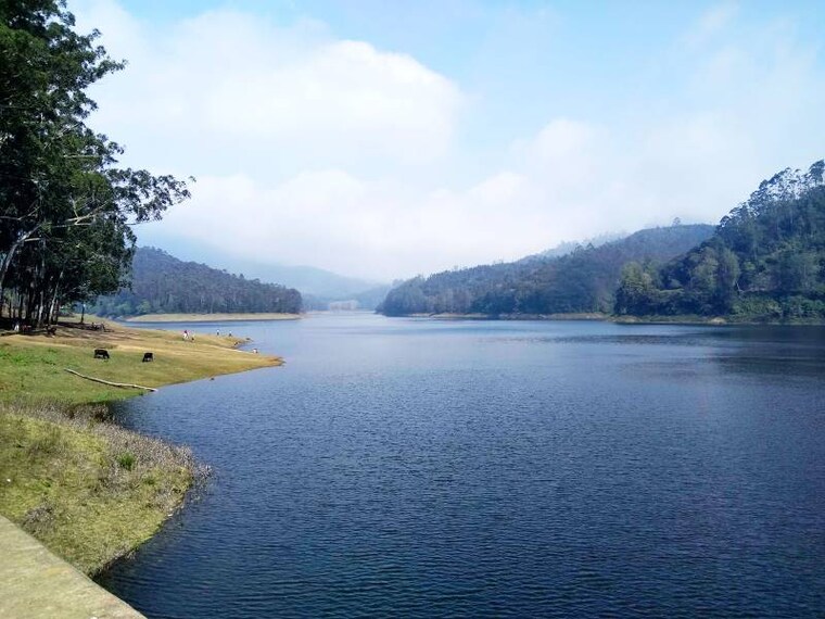 Kodaikanal_Berijam_Lake_1